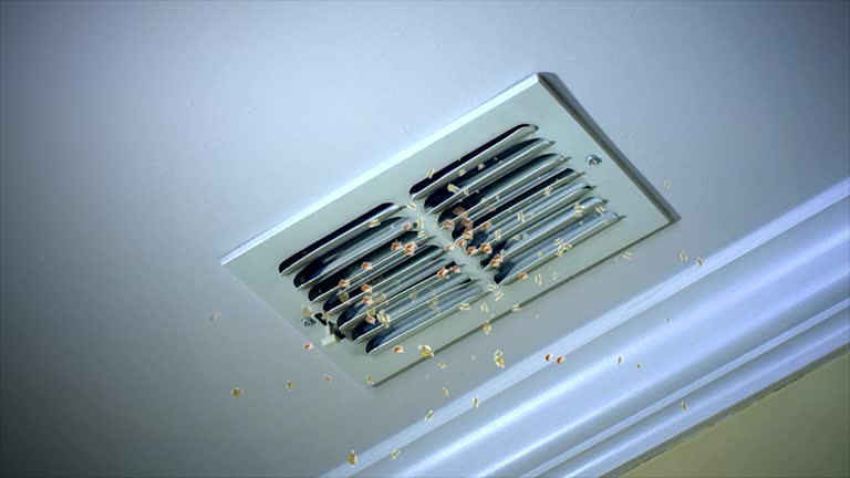 Best General Air Duct Cleaning  in Colusa, CA