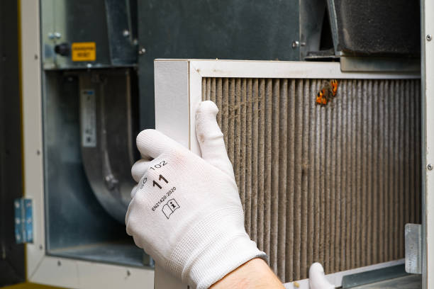 Best Home Air Vent Cleaning  in Colusa, CA